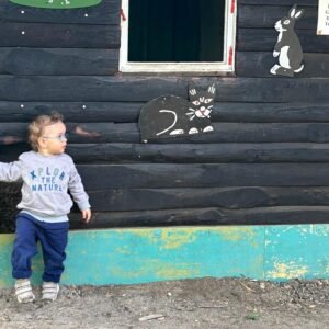 Online Workshop „Kita-Start“ – gut begleitet in die Fremdbetreuung